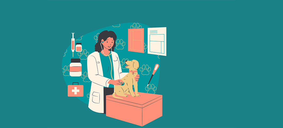 Imagen servicio veterinario para tu mascota